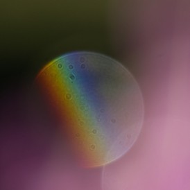 Lothar-Heintz-3