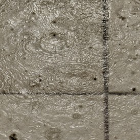 Werner-Waldrich-1