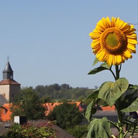 Brunhilde - Berndt - 1