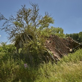 Werner-Waldrich-1
