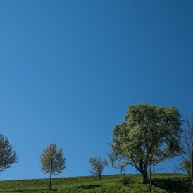 Paul-Würthner-3