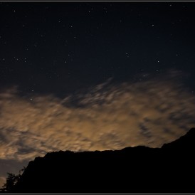 Paul Würthner - Tier-Naturfotografie/ Nachtfotografie 2