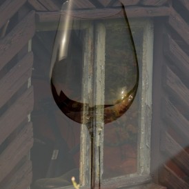 Werner-Waldrich-Alle/ Doppelbelichtung-2 - Fensterglas