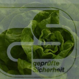 Werner-Waldrich-Alles/Doppelbelichtung-3 - Buchstabensalat