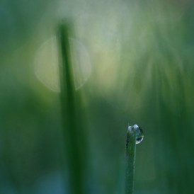 "malerischer-Morgengruß", - von Ulrike Zeiger Fujifilm XT4-1/60s-f6.4-ISO160-cr90mm
