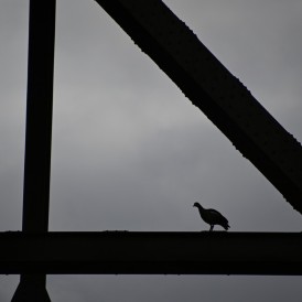 Blickpunkte 2.0: \"Silhouetten\"