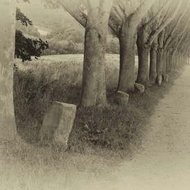 ohne Titel, von Volker Siesenop