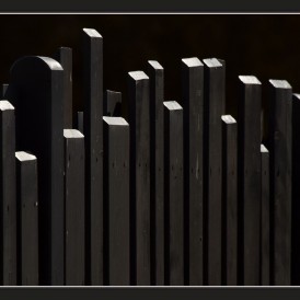 "Zaun"- , von Werner Waldrich Nikon D 5300 - 1/1000s - f/10 - ISO 200 - 200 / 450mm