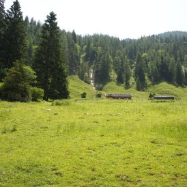 Hartmut Hübenthal