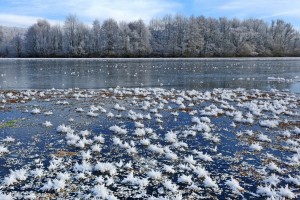 Winterimpressionen