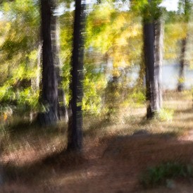 IMG_2025-05-07-095559