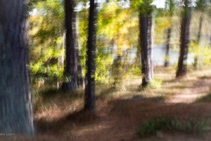 Galerie: Alexander Lucht