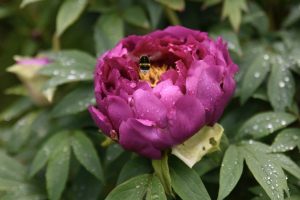 Wann kommt der Frühling?