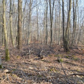 DSC_0015-1200