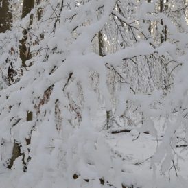 DSC_0047-800