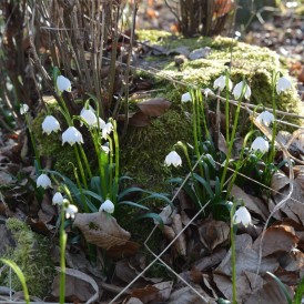 DSC_0052-1200