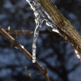 DSC_0058-800