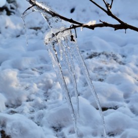 DSC_0060-1200