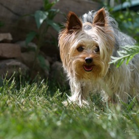 1_DSC_4295Tobi12Auge