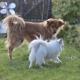 Romy und Perle