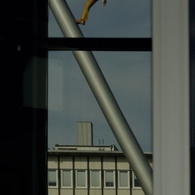 Werner Waldrich