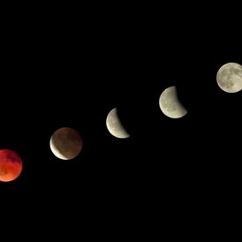 PLATZ-3 Volker Siesenop