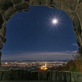 PLATZ-5 Volker Siesenop