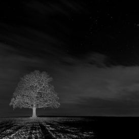 PLATZ-9 Hartmut Hübenthal