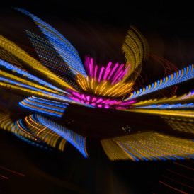 PLATZ-9 Werner Waldrich