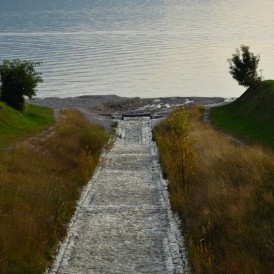 Dagmar-Wilken
