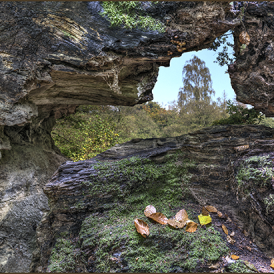 Urwald-