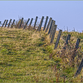 Weidezaun-
