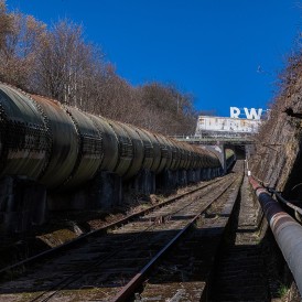 V_DSC1119_2.0