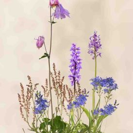 FCV-2024-032-001-v1-BW-NF