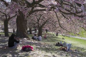 Natur - Frühjahr / Sommer