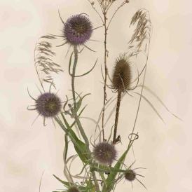 FCV-2023-052-026-v1-BW-NF