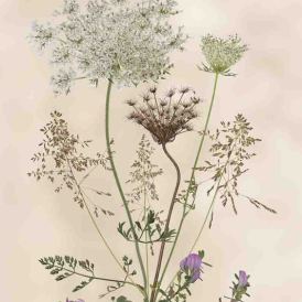 FCV-2023-052-030-v1-BW-NF