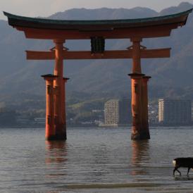 Torii vor dem Itsukushima-Schrein, Japan