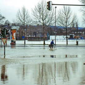 9. Platz - Volker Siesenop