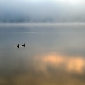 Stille