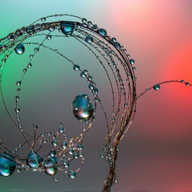 Wettbewerb 2020: "Wasser"