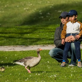 Platz 10 - Paul Würthner: "Begegnung im Park"